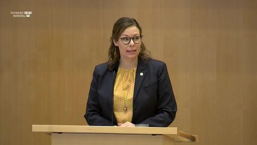 Stillbild från Debatt om förslag, Arbetskraftsinvandring