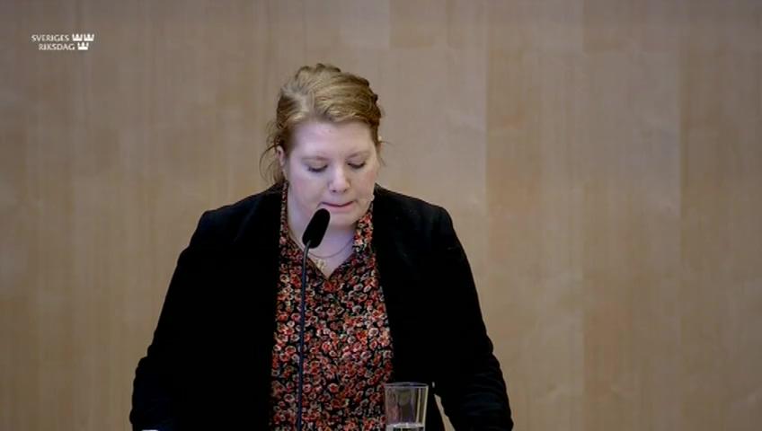 Stillbild från Debatt om förslag, Riksrevisionens ledningsstruktur