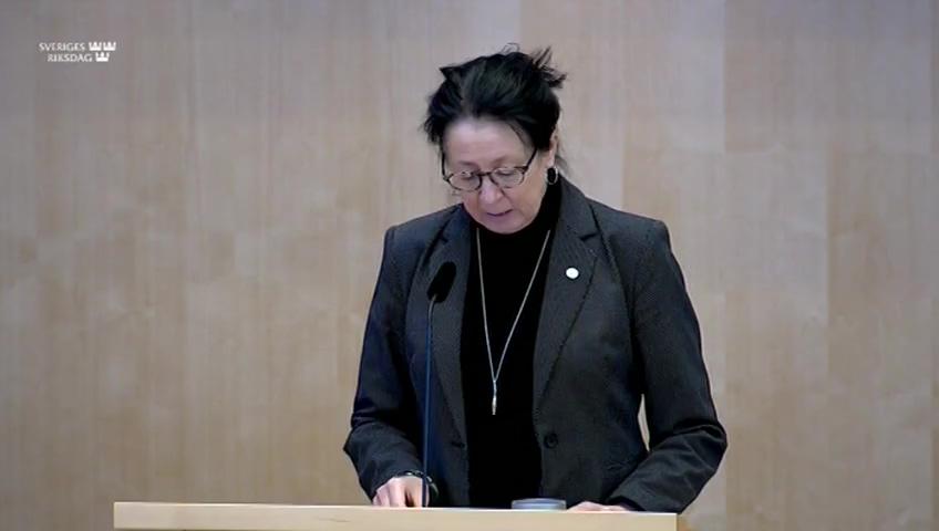 Stillbild från Debatt om förslag, Underskott i förhållande till elnätsföretagens intäktsramar för tillsynsperioden 2012-2015