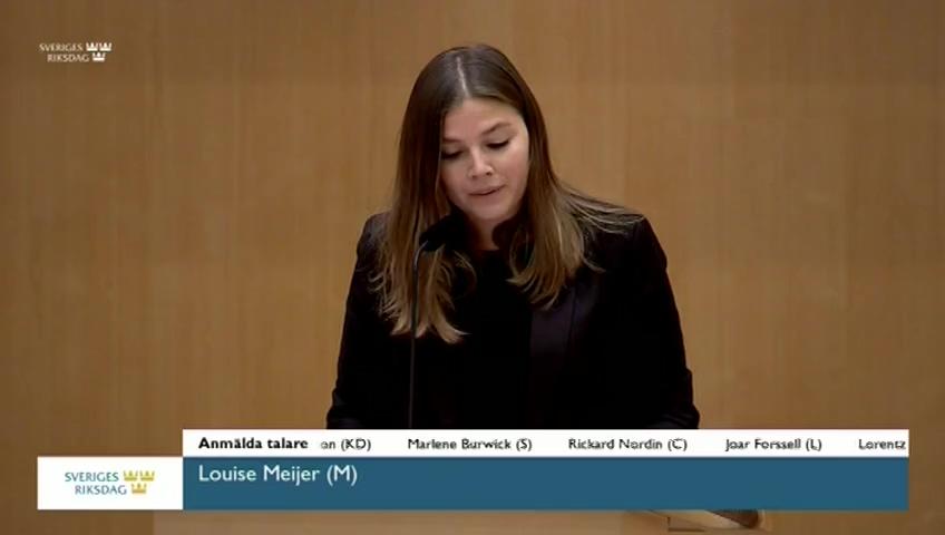 Stillbild från Debatt om förslag, Riksrevisionens rapport om Klimatklivet