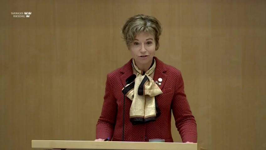 Stillbild från Debatt om förslag, Statistik över hushållens tillgångar och skulder