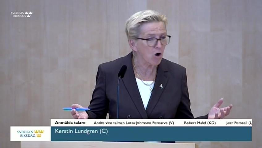 Stillbild från Debatt om förslag, Europarådet