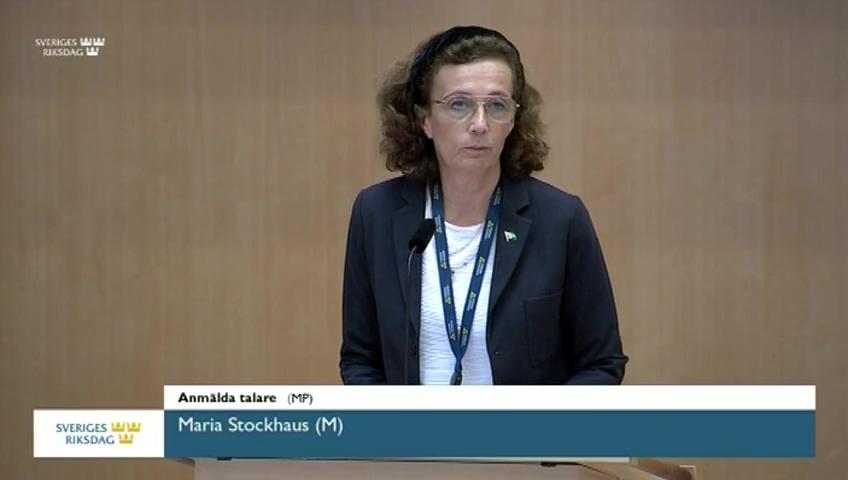 Stillbild från Debatt om förslag, Förutsättningar för etableringsjobb och vissa frågor om kontroll inom den arbetsmarknadspolitiska verksamheten