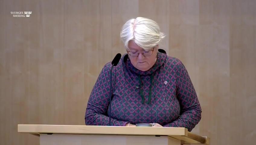 Stillbild från Debatt om förslag, Nya direktiv till utredningen om arbetskraftsinvandring