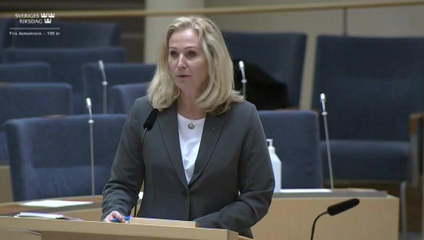 Stillbild från Interpellationsdebatt, Rivning och avlägsnande av statyer och andra kulturföremål