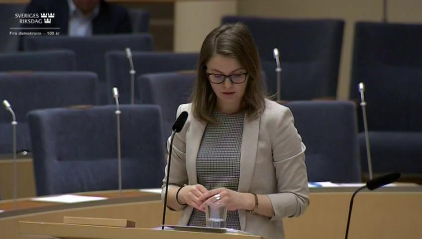 Stillbild från Interpellationsdebatt, En folkräkning