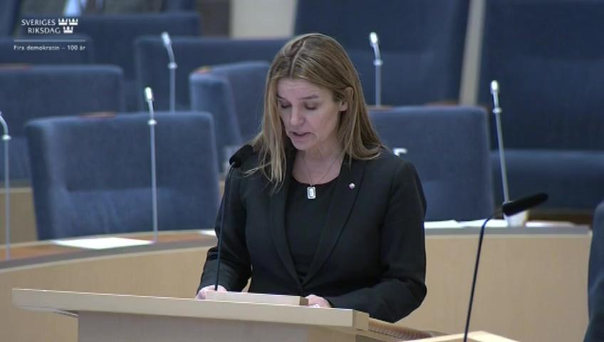 Stillbild från Interpellationsdebatt, Direktiven till Renmarkskommitténs arbete