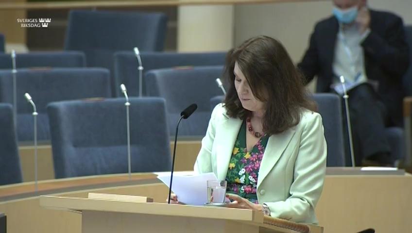 Stillbild från Interpellationsdebatt, Det statliga våldet i Paraguay och Brasilien