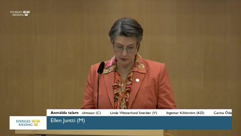 Stillbild från Debatt om förslag, Effektivare hantering av häktningar och minskad isolering