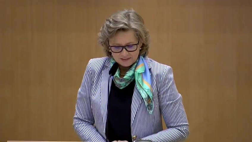 Stillbild från Debatt om förslag, Sveriges medlemskap i FN:s säkerhetsråd 2017-2018