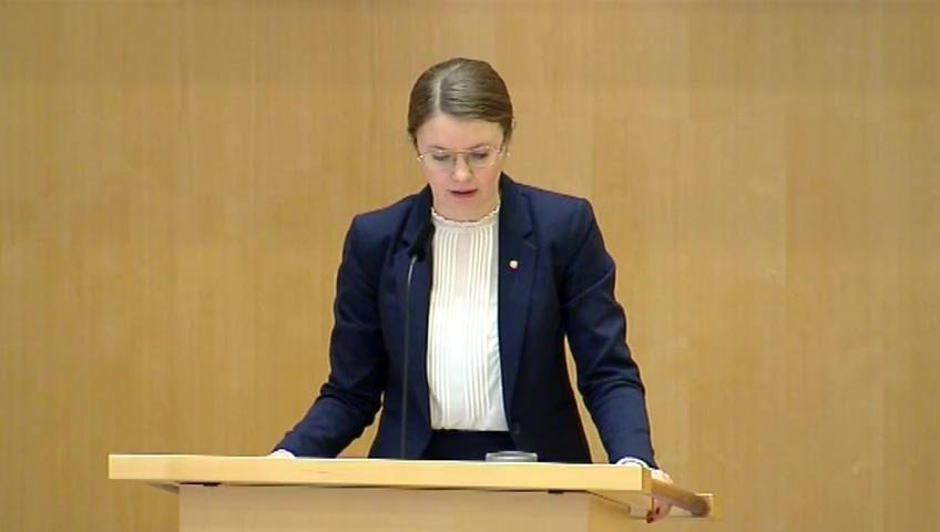 Stillbild från Debatt om förslag, Nystart för en stärkt minoritetspolitik