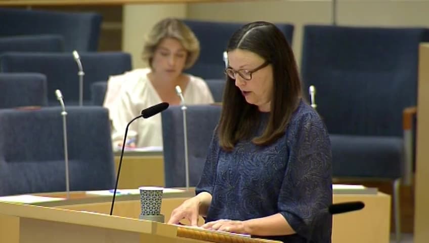 Stillbild från Interpellationsdebatt, Validering för nyanlända