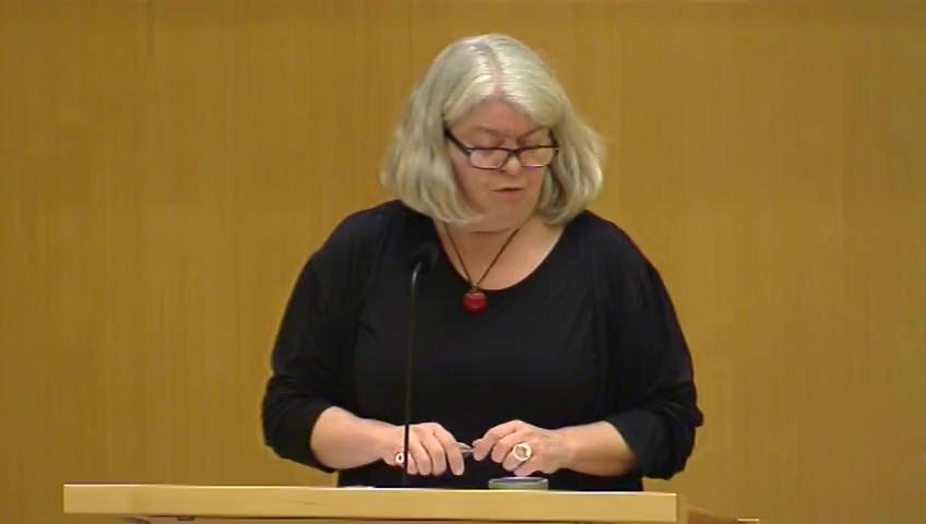Stillbild från Debatt om förslag: En strategi för arbetet med mänskliga rättigheter i Sverige