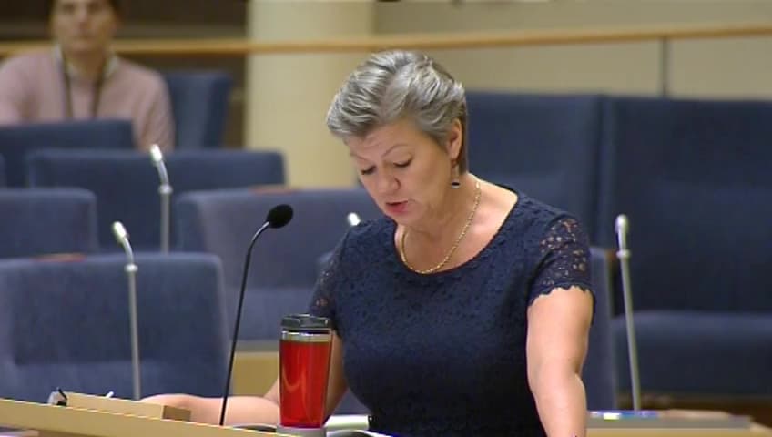 Stillbild från Interpellationsdebatt, Arbetslöshetsmålet