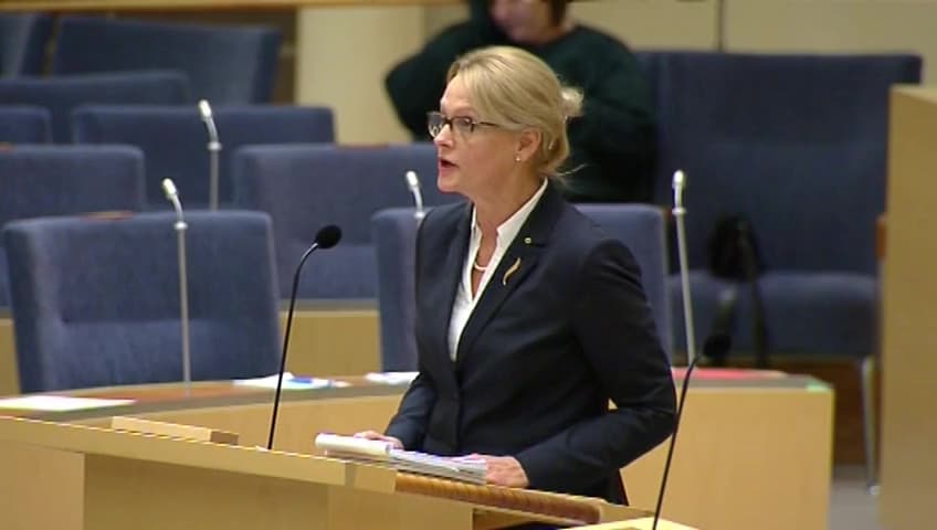 Stillbild från Interpellationsdebatt, Ett långsiktigt och hållbart asylsystem