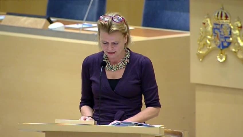 Stillbild från Interpellationsdebatt, En effektiv socialtjänst