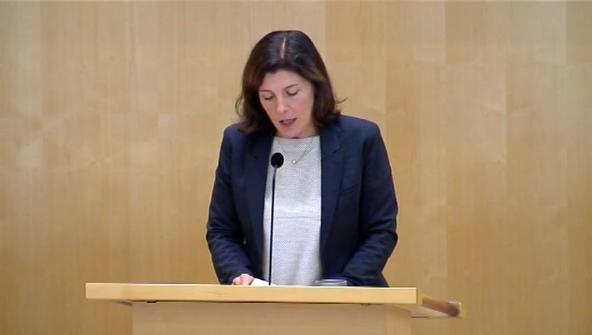 Stillbild från Debatt om förslag, Diskussionsunderlag om det europeiska försvarets framtid