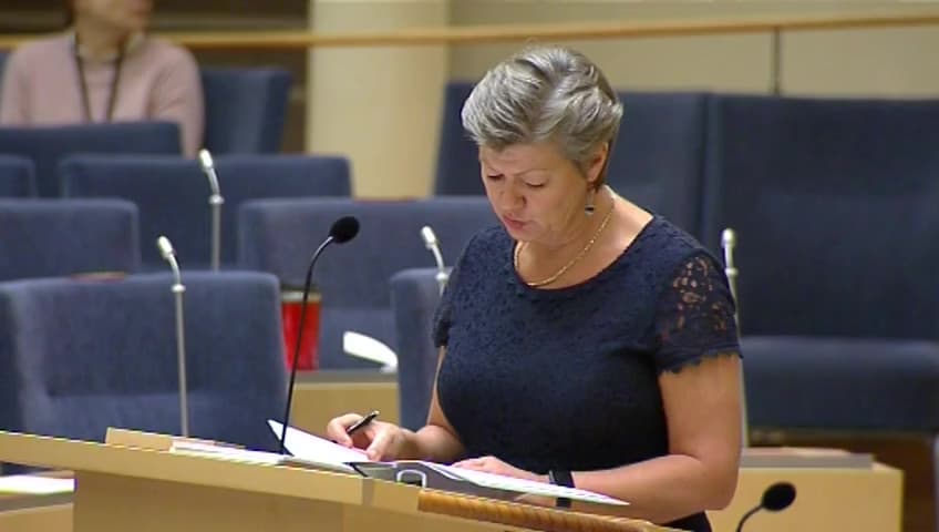 Stillbild från Interpellationsdebatt, Den tudelade svenska arbetsmarknaden