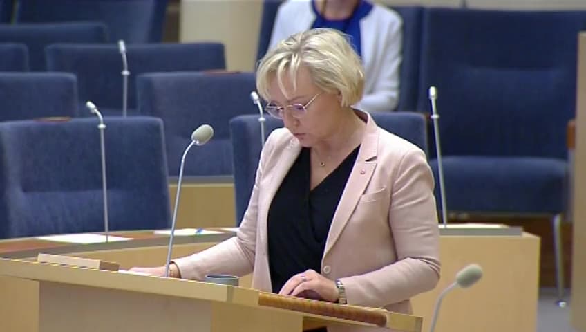 Stillbild från Interpellationsdebatt, Den högre utbildningens lönsamhet
