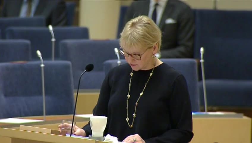 Stillbild från Interpellationsdebatt, En ny Arktisstrategi
