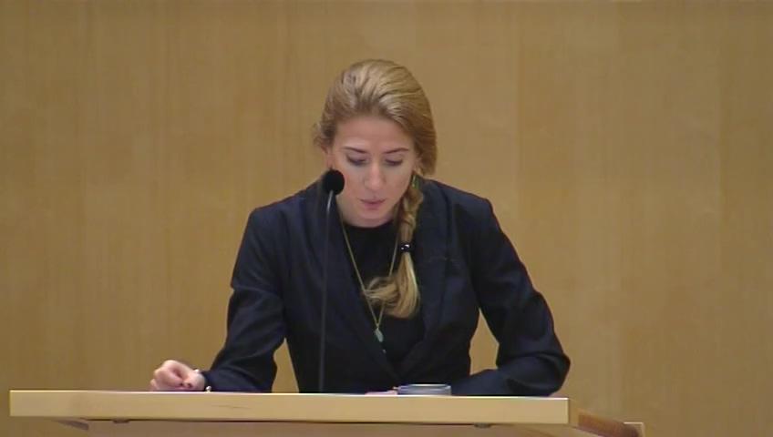 Stillbild från Debatt om förslag, Sjöfylleri