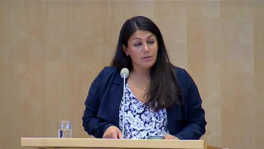 Stillbild från Debatt om förslag: Begränsningar i föräldrapenningen för föräldrar som kommer till Sverige med barn