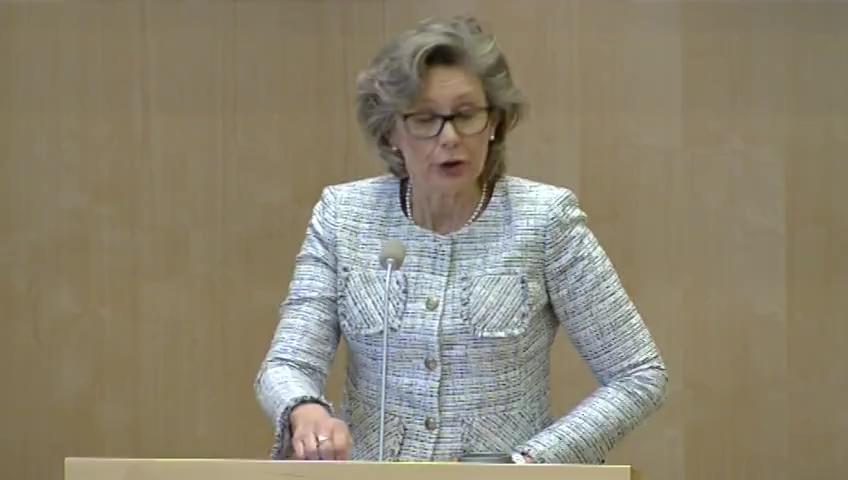 Stillbild från Debatt om förslag: Mänskliga rättigheter, demokrati och rättsstatens principer i svensk utrikespolitik
