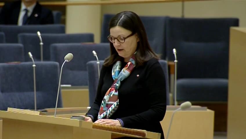 Stillbild från Interpellationsdebatt, Arbetsmarknaden för unga i landsorten