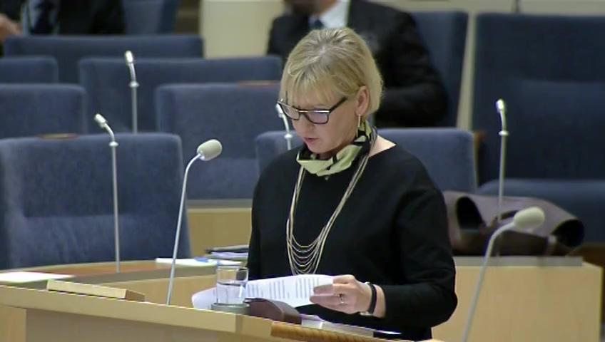 Stillbild från Interpellationsdebatt: Den svenska insatsen i Libyenkriget 2011