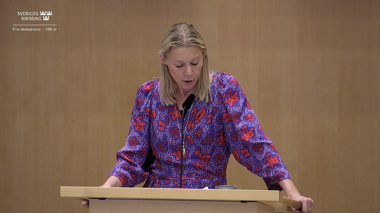 Stillbild från Debatt om förslag, En ny riksbankslag