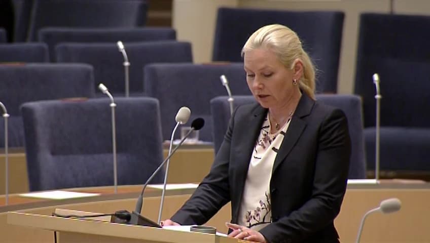 Stillbild från Interpellationsdebatt, Kryssningsanlöp och farledsavgifter