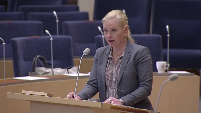 Stillbild från Interpellationsdebatt, Tidsplan för alkobommar i svenska hamnar