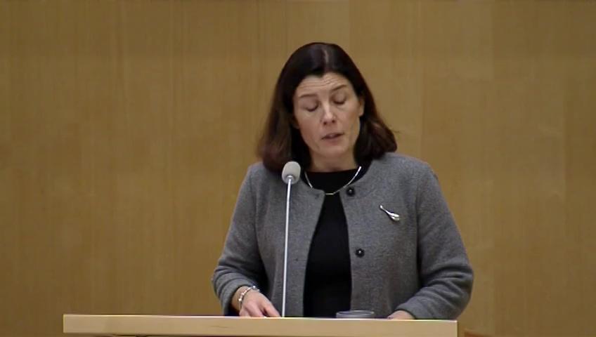 Stillbild från Aktuell debatt: Aktuell debatt om Sveriges deltagande i kampen mot Daish