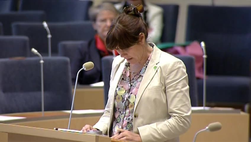 Stillbild från Interpellationsdebatt, Bekämpning av översvämningsmygg