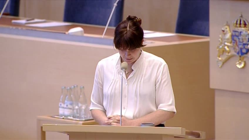 Stillbild från Interpellationsdebatt, Svenskt klimatåtagande inför klimattoppmötet i Paris