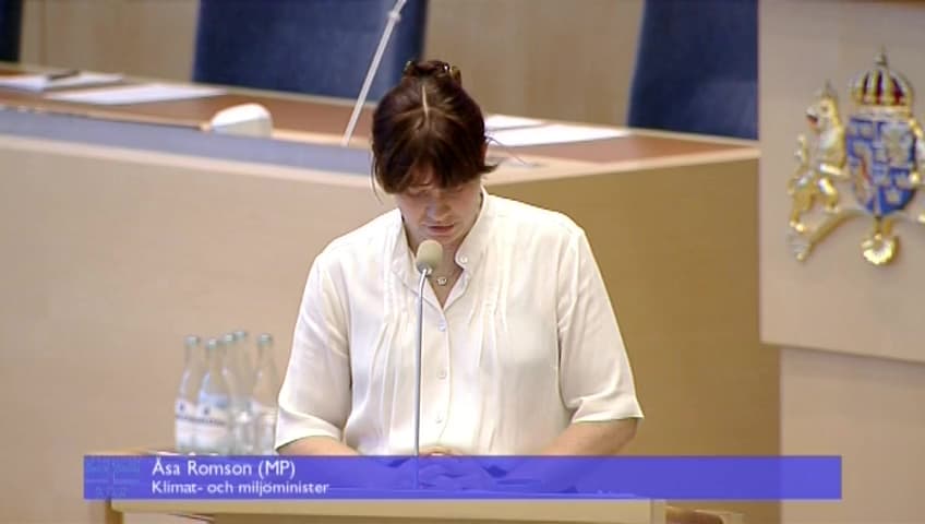 Stillbild från Interpellationsdebatt, Små vattenkraftverk