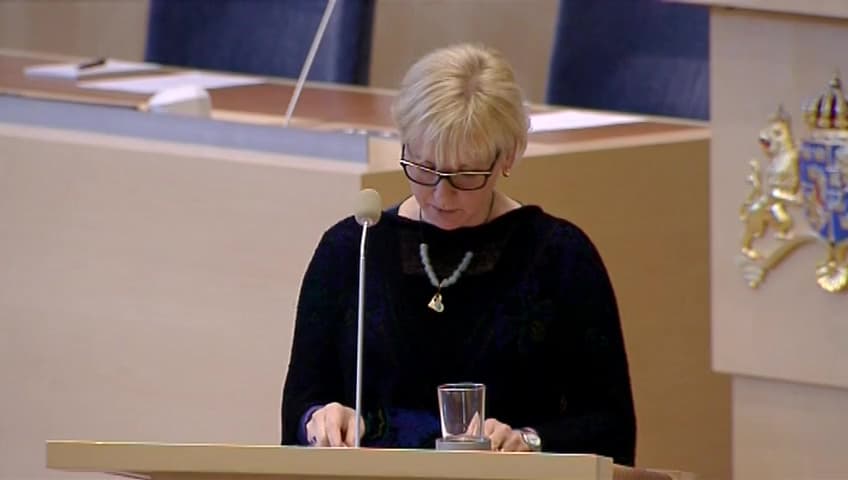 Stillbild från Interpellationsdebatt, Utgångspunkten för svensk säkerhetspolitik