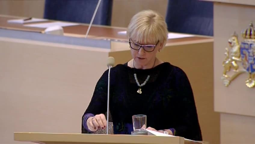 Stillbild från Interpellationsdebatt, Mänskliga rättigheter på Krimhalvön