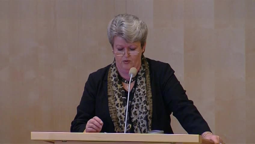 Stillbild från Debatt om förslag, Mänskliga rättigheter i svensk utrikespolitik