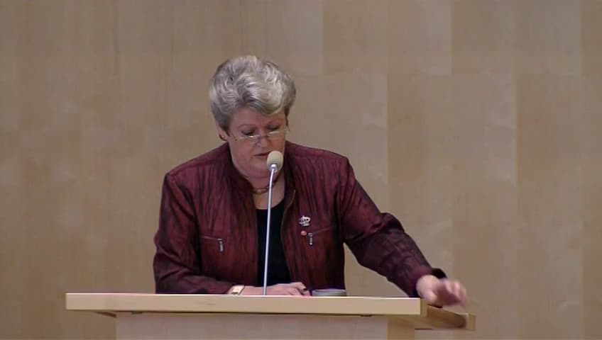 Stillbild från Debatt om förslag, Grönbok om system för exportkontroll för produkter med dubbla användningsområden