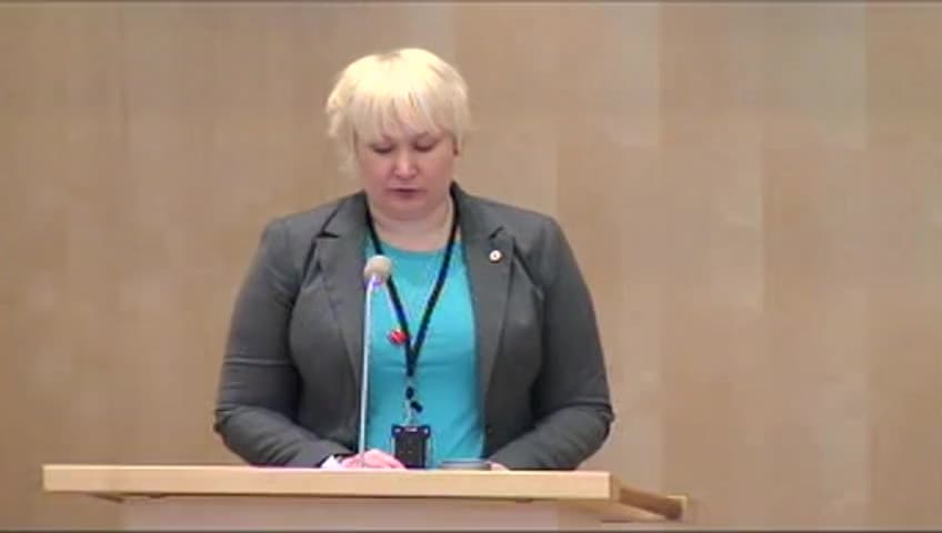 Stillbild från Debatt om förslag, Genomförande av FN:s vapenprotokoll