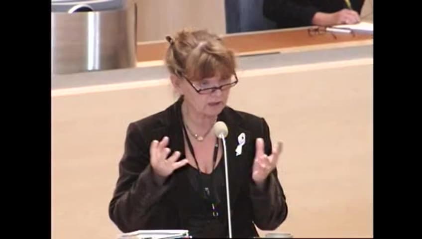 Stillbild från Interpellationsdebatt, Folkomröstning om EU-konstitutionen