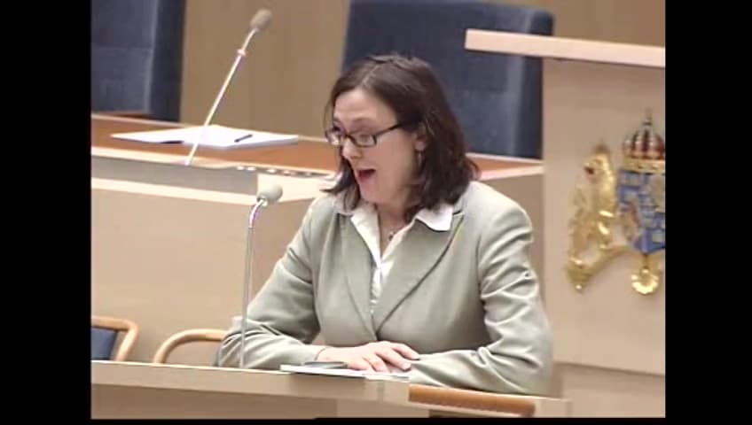 Stillbild från Interpellationsdebatt, EU:s konstitution