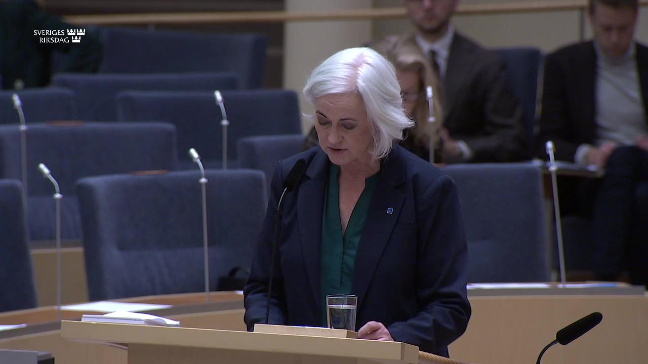 Stillbild från Interpellationsdebatt, Tolkar inom vården