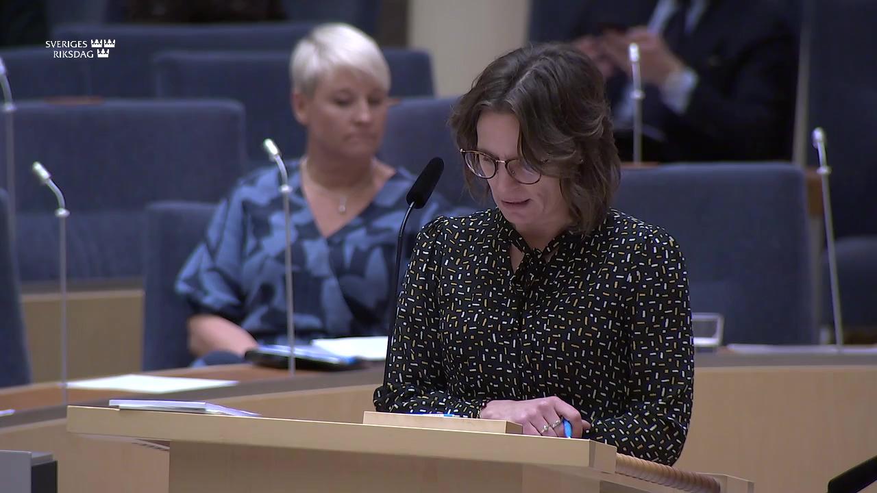 Stillbild från Interpellationsdebatt, Sveriges prioriteringar inför EU-ordförandeskapet