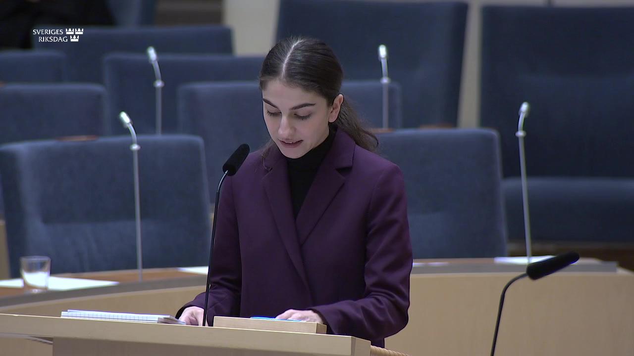 Stillbild från Interpellationsdebatt, Klimathandlingsplanen