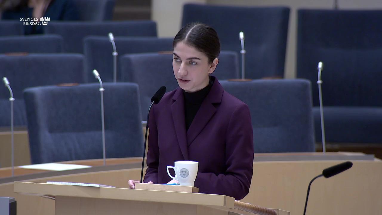 Stillbild från Interpellationsdebatt, Vattenkraftens miljötillstånd