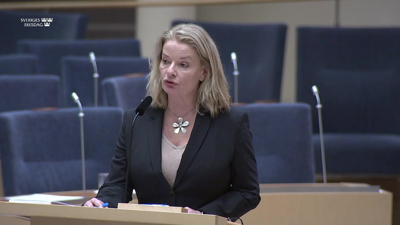 Stillbild från Interpellationsdebatt, Likvärdighet i skolsystemet