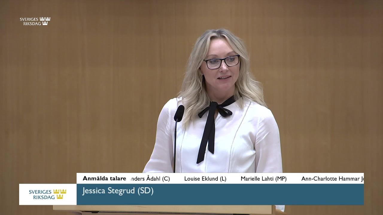 Stillbild från Debatt om förslag, Utgiftsområde 21 Energi