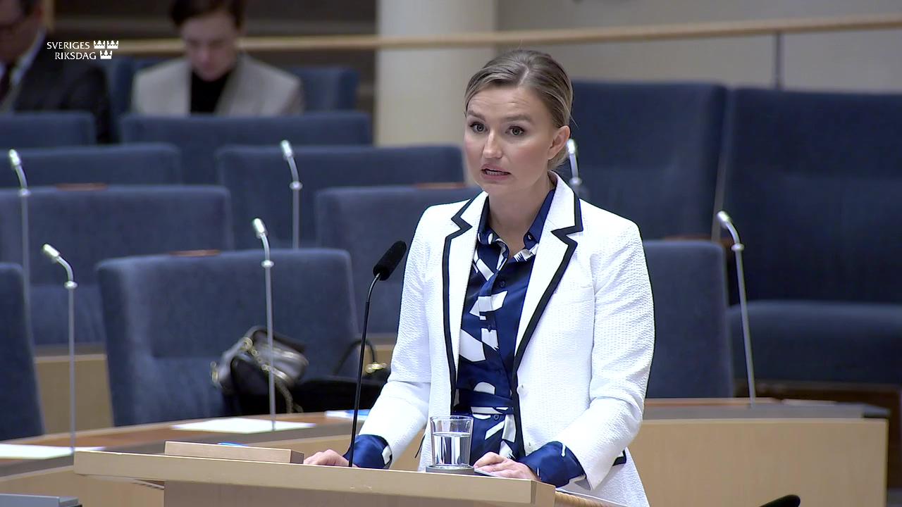 Stillbild från Interpellationsdebatt, Gasstöd till hushållen